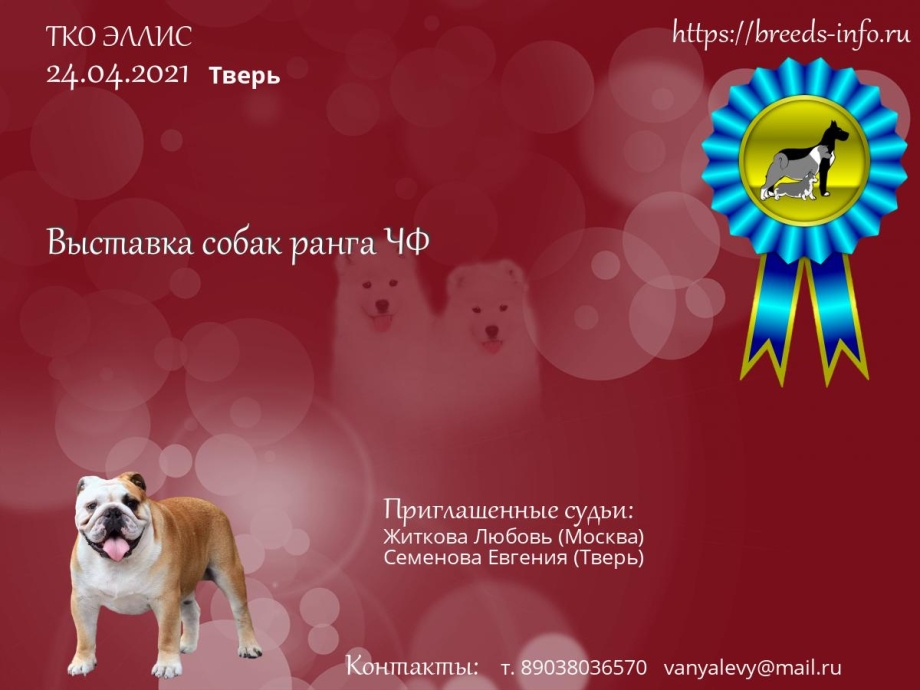 Классы собак на выставке