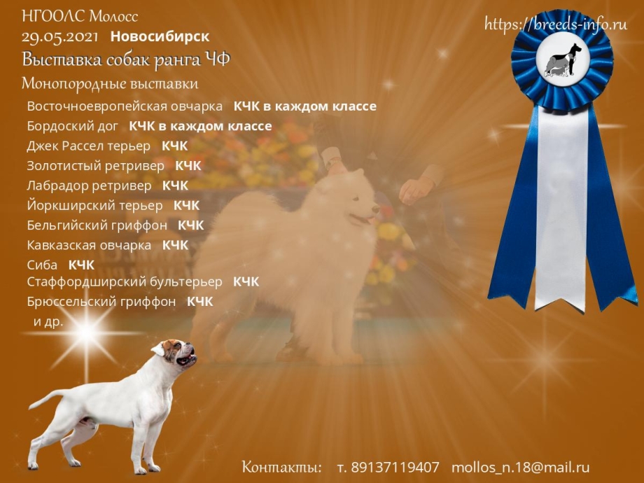 Собаки Доберманы опасные