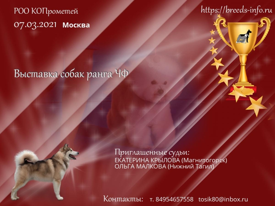 Поздравляю победителей выставки собак открытки
