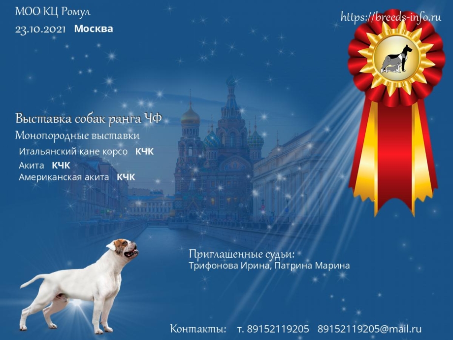 Корабельная собака