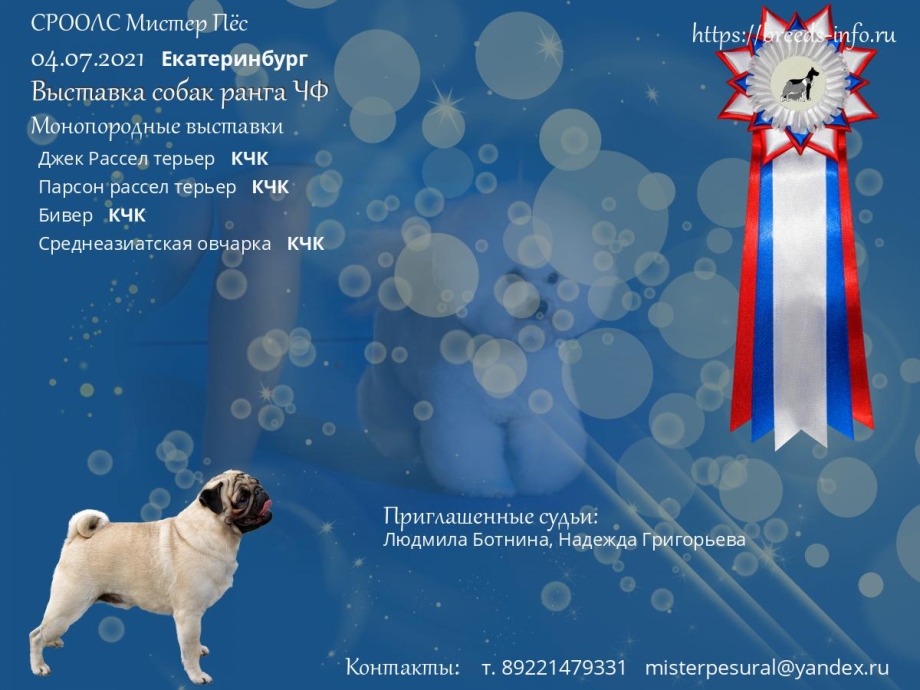 Листовка для собаки на выставку
