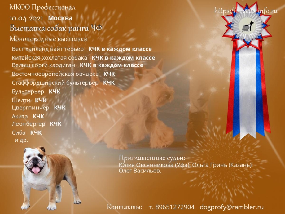 Ранга от собаки на человеке