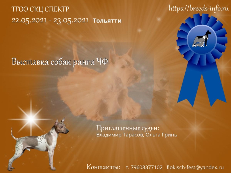 Выставка собак Липецк 2021