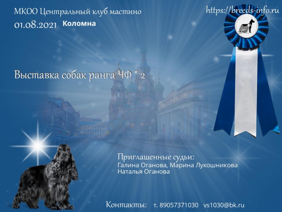 Выставка лабрадоров в Москве 2021