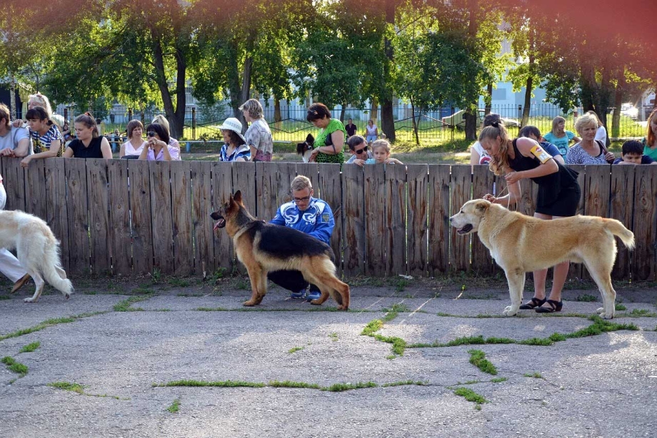 ВЕО Юг Султан