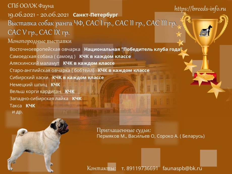Выставка собак в Ярославле 11 апреля 2021