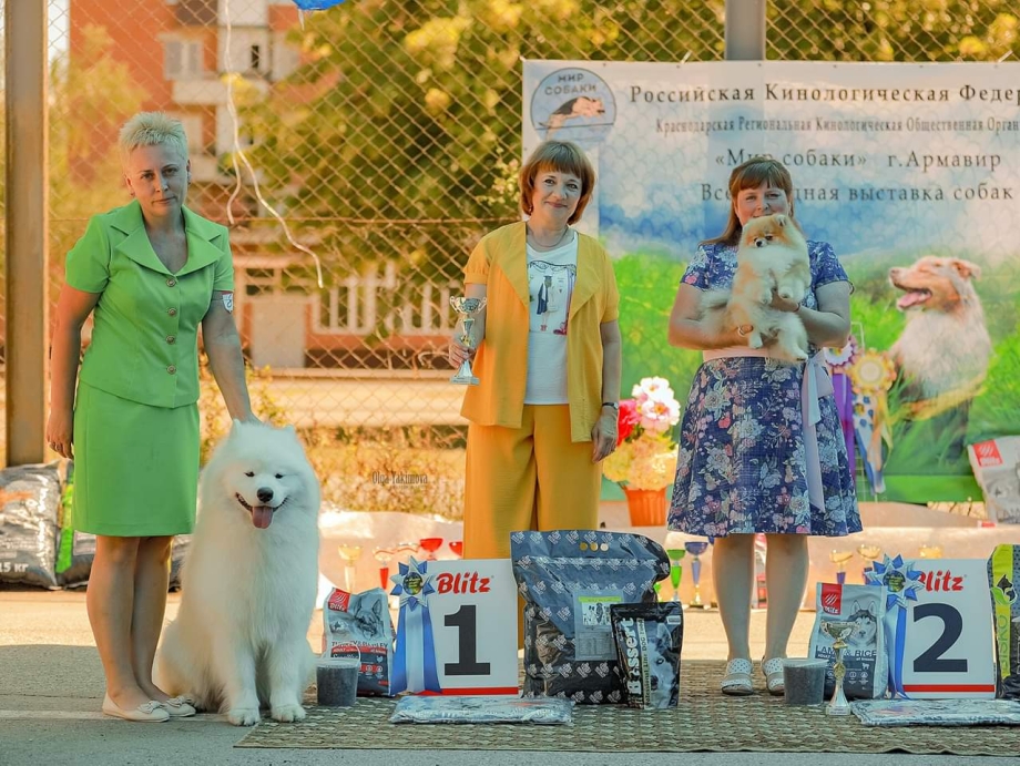Клуб служебного собаководства