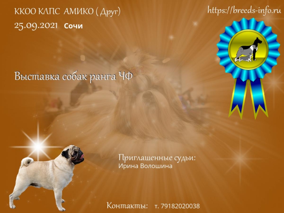 Диплом КЦ Тверь выставка собак