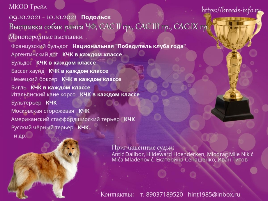 Выставка собак в Армавире 2020