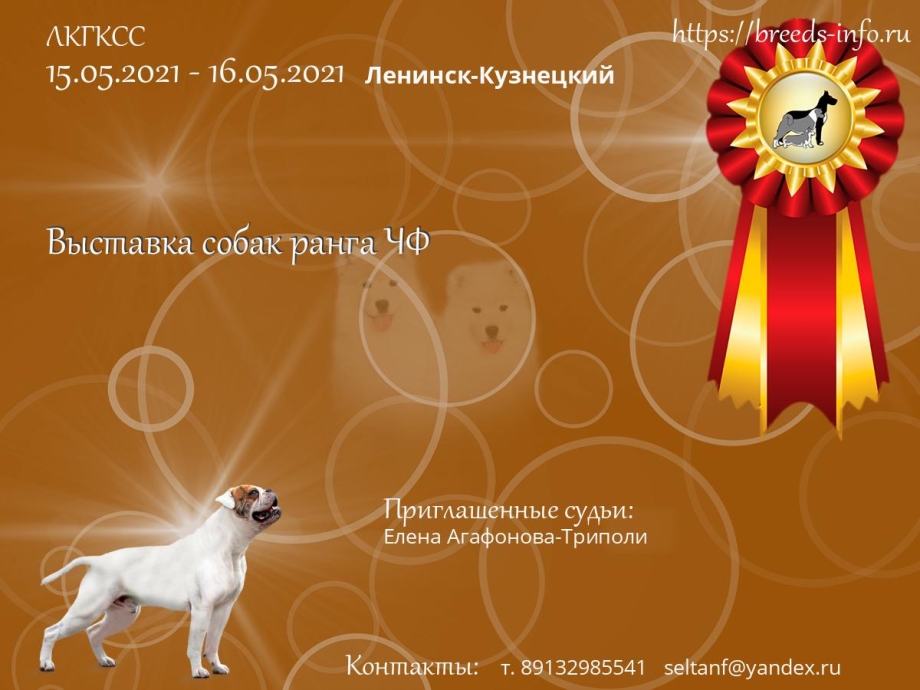 Выставка собак 16.10.2021 в Новосибирске