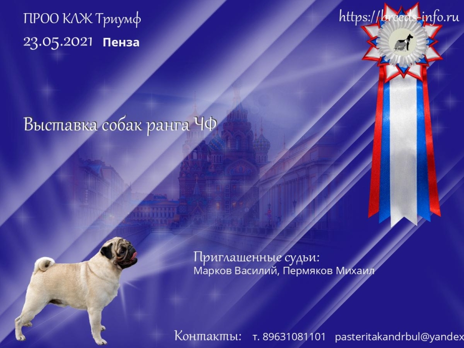 Выставки собак 2021