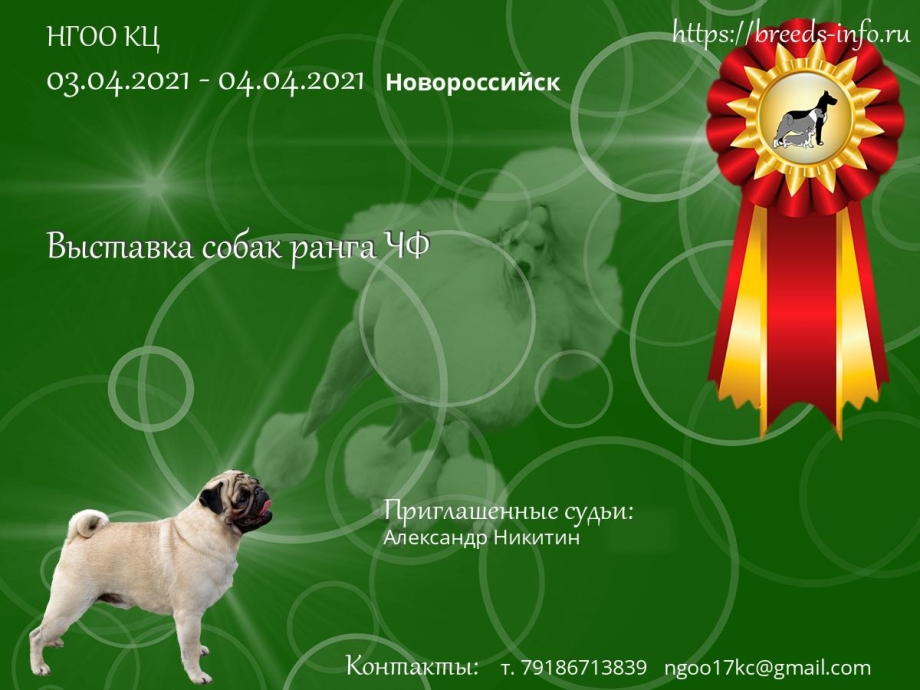 Выставки собак 30-31 октября 2021