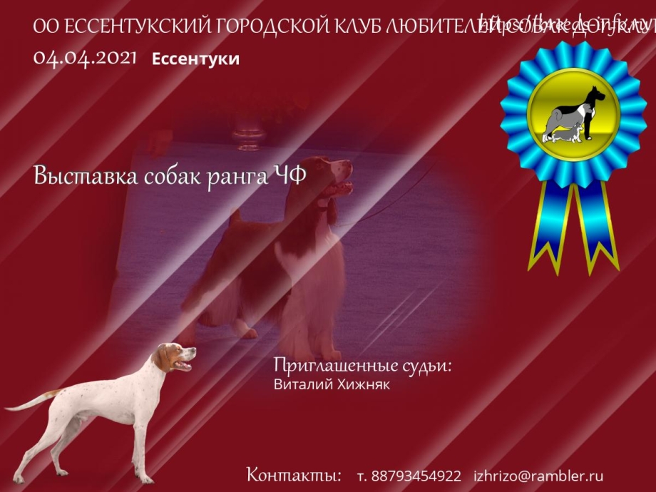 Выставки собак 2021