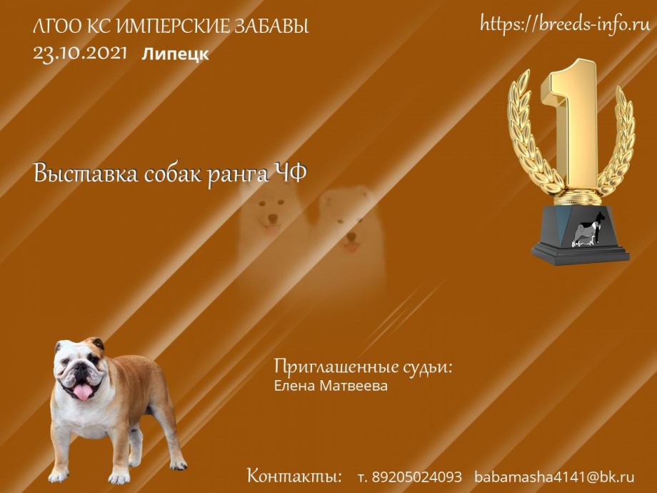 Выставка собак в Москве 2021