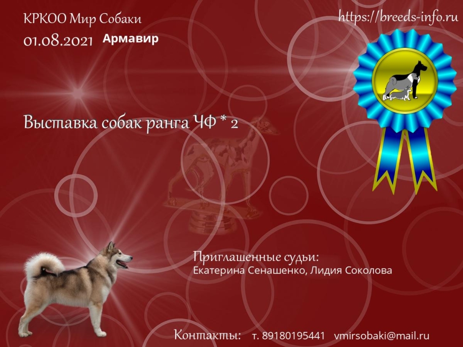 Воронеж, выставка собак 14 декабря 2019 г.- ранг выставки?