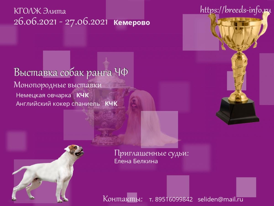 Сертификаты ЧФ собак