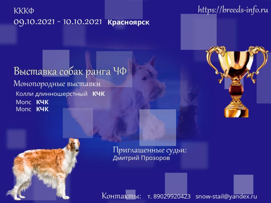 Выставка собак Россия 2021