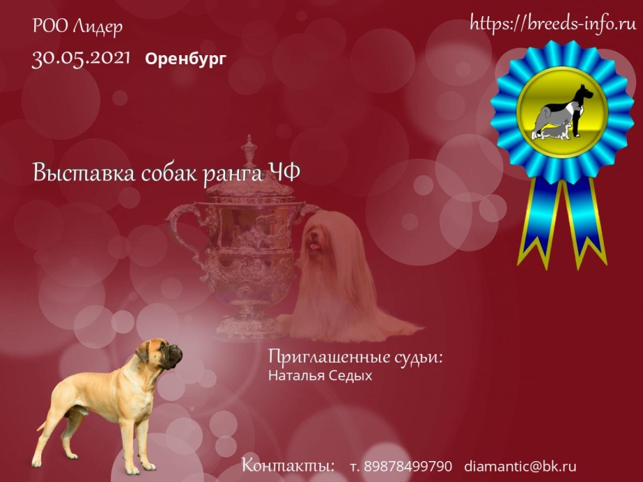 Выставка собак Воронеж 2021