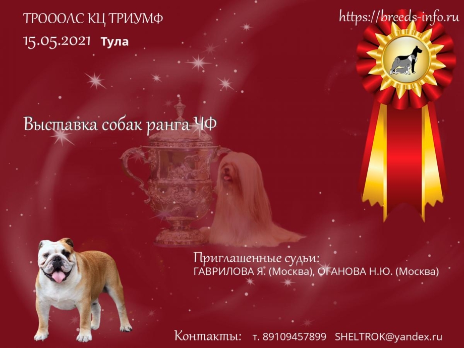 Выставка собак Тамбов 2021