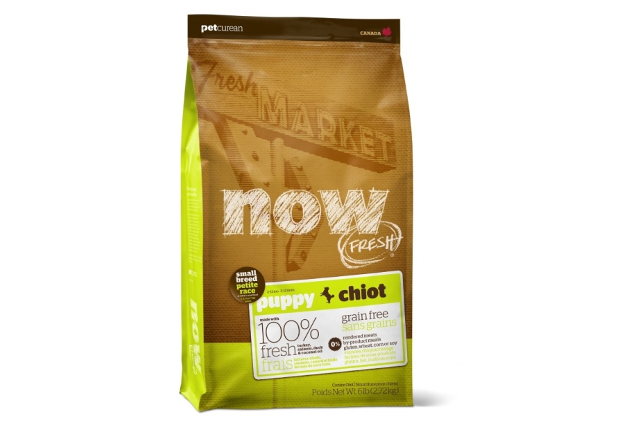 Now natural Holistic для кошек