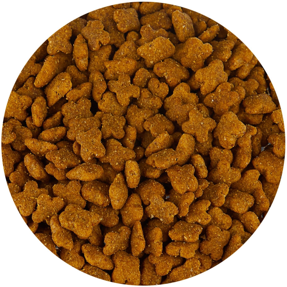 Корм для собак Now Fresh лосось, утка, индейка 5.44 кг