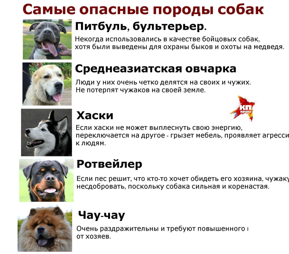 Опасные породы собак список