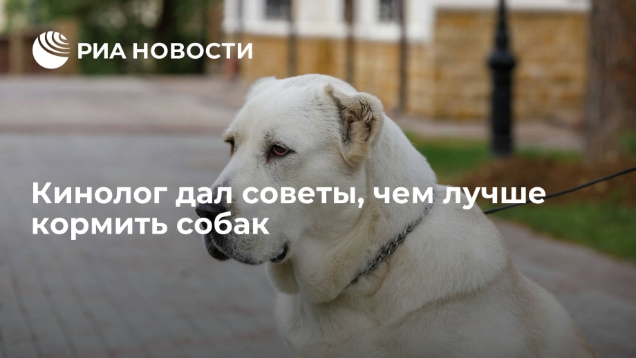 Список потенциально опасных собак