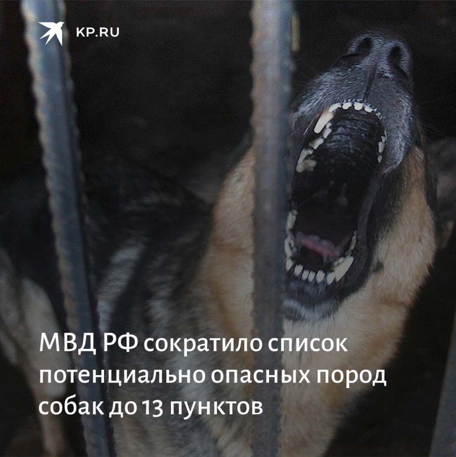 Список потенциально опасных пород собак