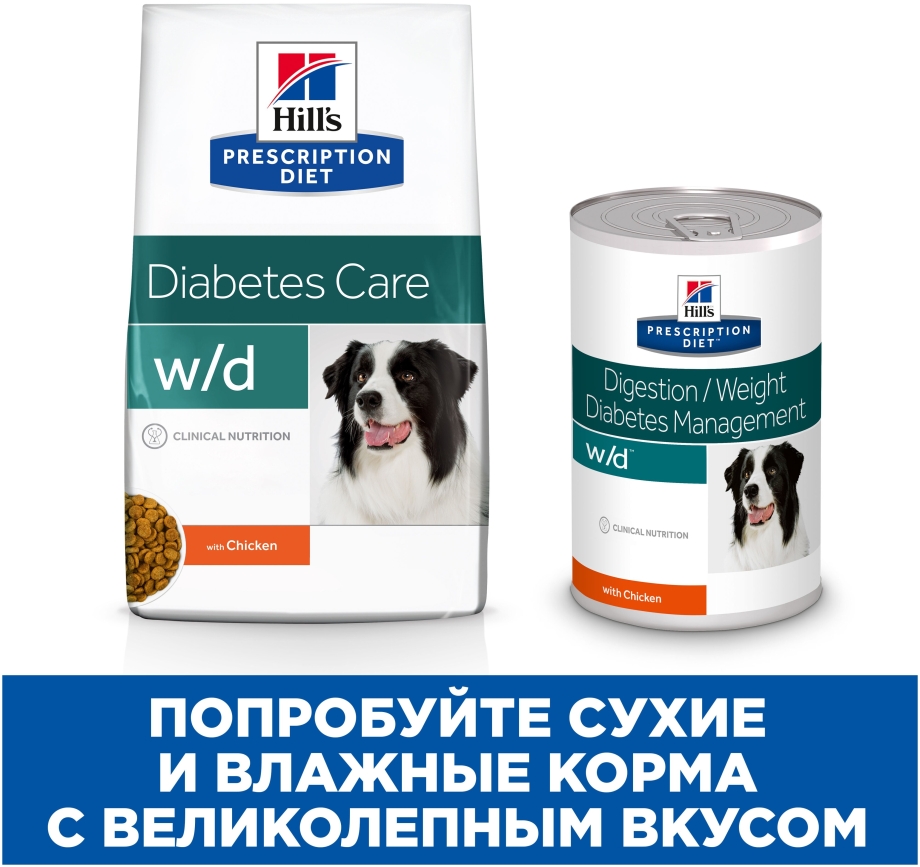 Собака переела сухого корма