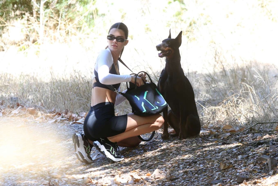 Kendall Jenner с доберманом