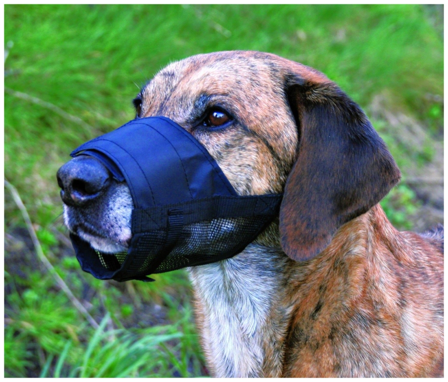 Намордник Trixie Muzzle Flex