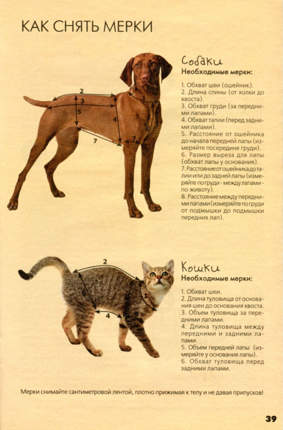 Мерки для одежды для кошек