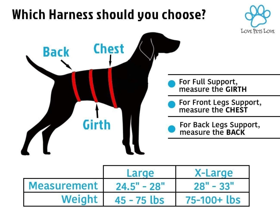Chest Girth у собаки где смерить