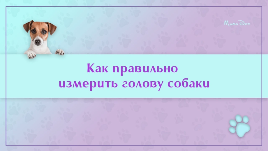 Вязаная одежда для йорков с описанием