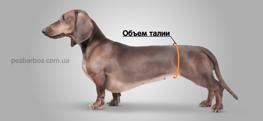 Журнал вяжем для домашних любимцев