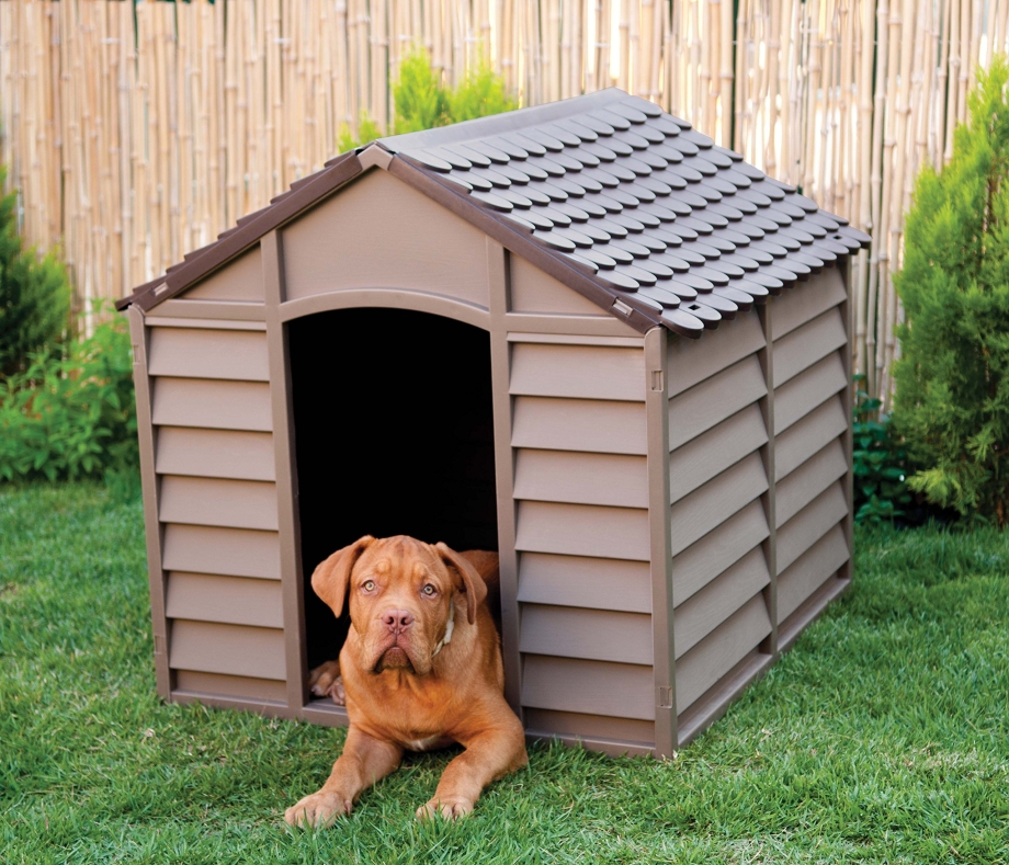 Будка Keter Dog