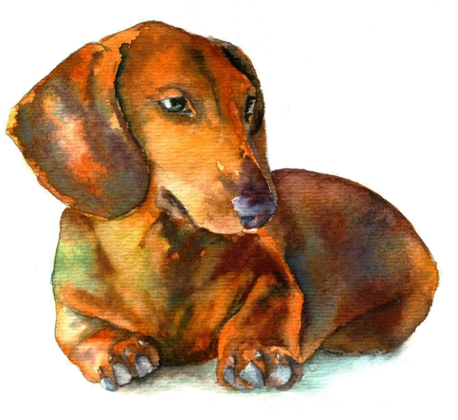 Такса рисунок