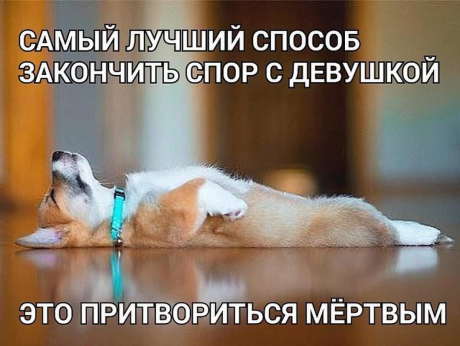 Уставшая собака