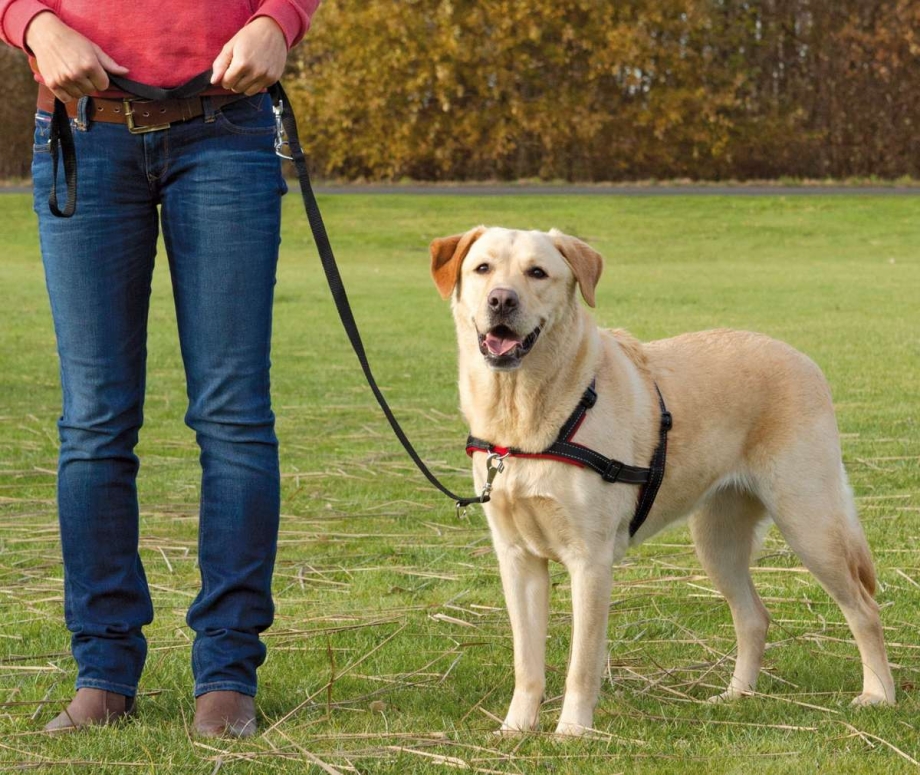 Шлейка Trixie lead'n'walk Soft 45-70