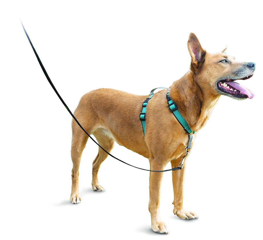 Поводок для большой собаки "Ruffwear"