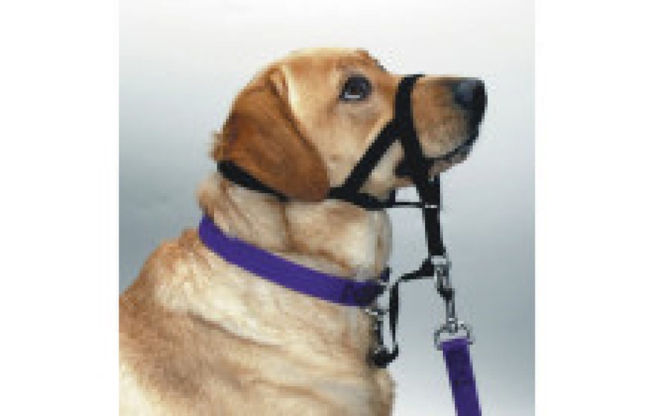 Намордник для собак Trixie Muzzle Flex l-XL 17615, обхват морды 36 см