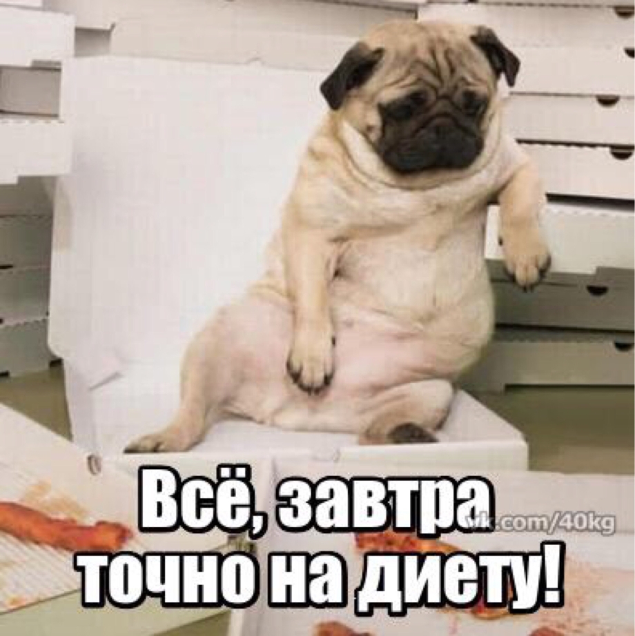 Собака пельмешка