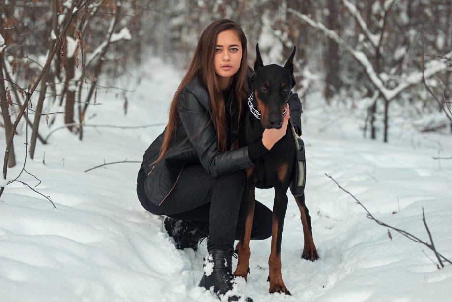 Доберман Дины Саевой