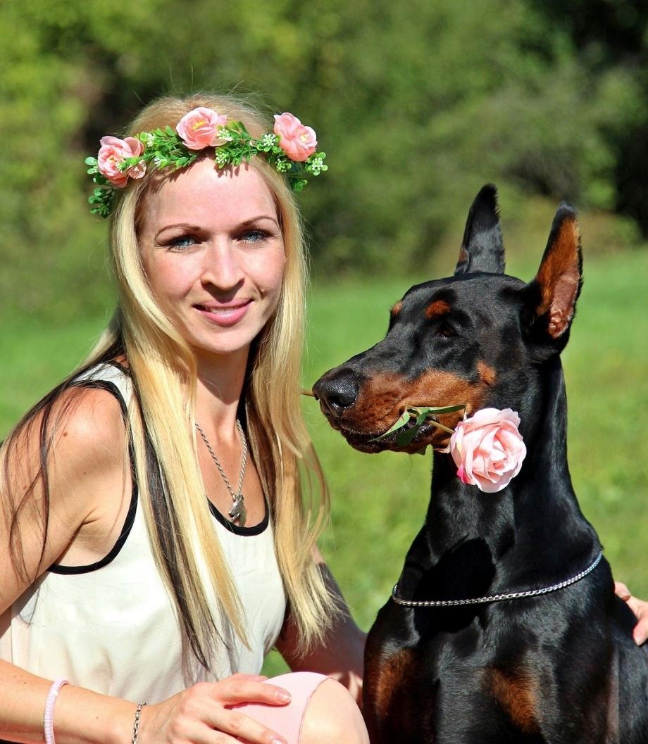 Легас Велис Жаклин Доберман