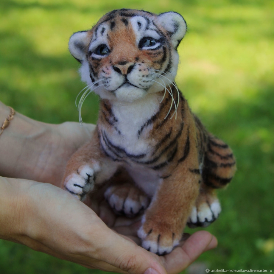 Серенгети кошка
