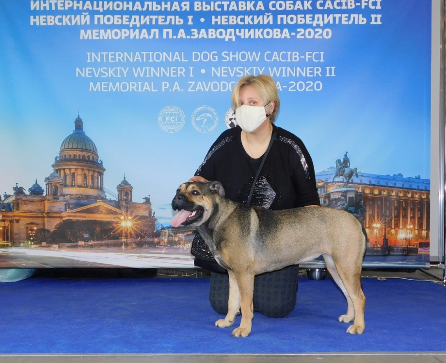 Ширяева Наталья Санта КНИРИС