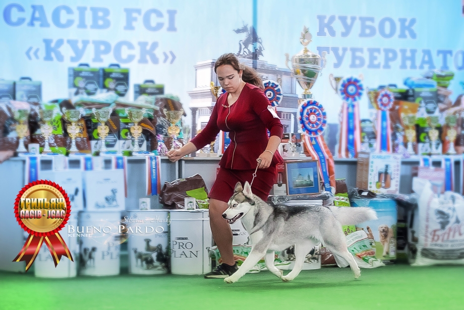 Эксперт FCI Родина