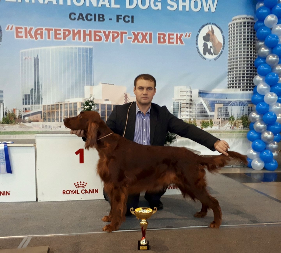 Питомник шнауцеров металлик