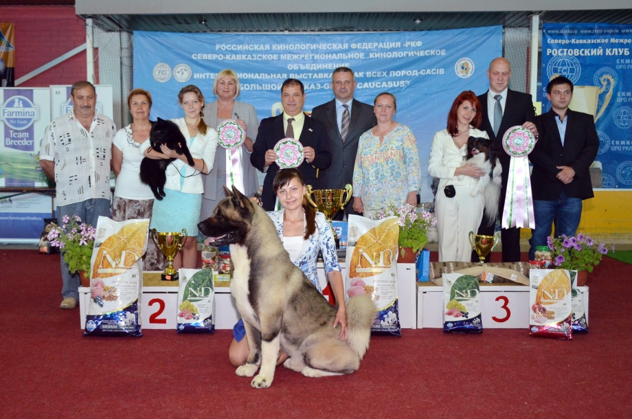 The Dogs of Riga