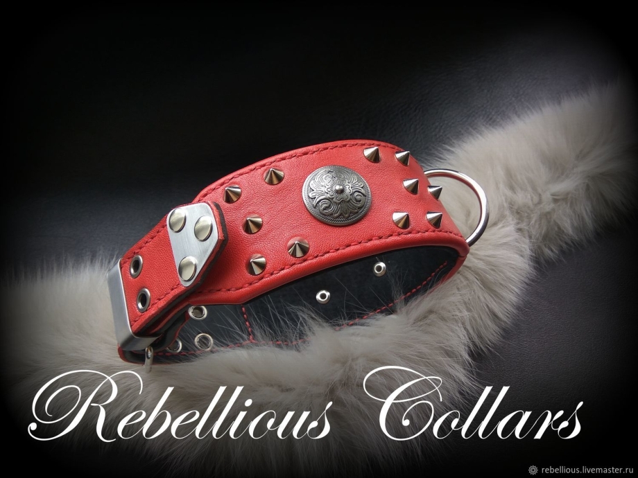 Ошейник для собак rebellious